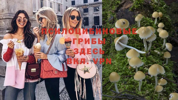 mix Билибино