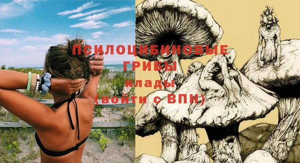 ALPHA PVP Михайловка