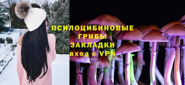 гидра Михайловск