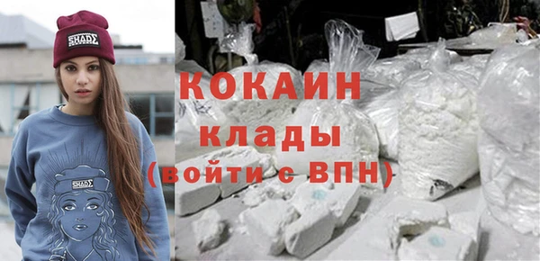 гидра Михайловск